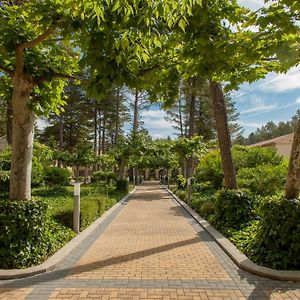 Confluent Health Resort